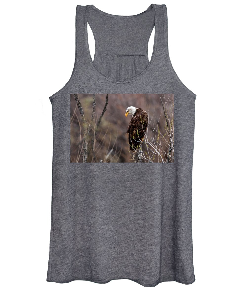 American Eagle Women's Tank Top featuring the photograph Eagle Eyed Hunter by American Landscapes