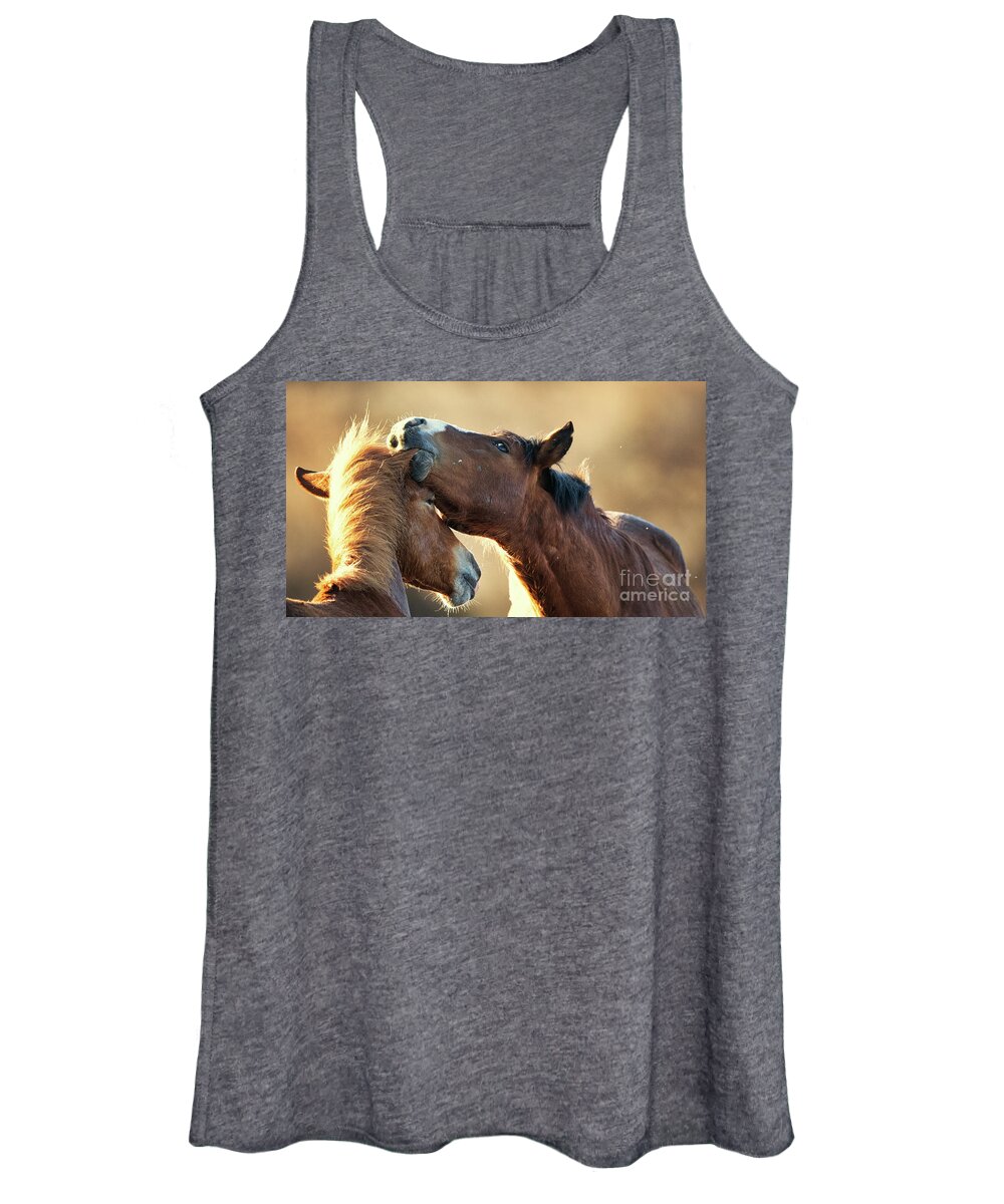 Salt River Wild Horses Women's Tank Top featuring the photograph Ear Nibble by Shannon Hastings