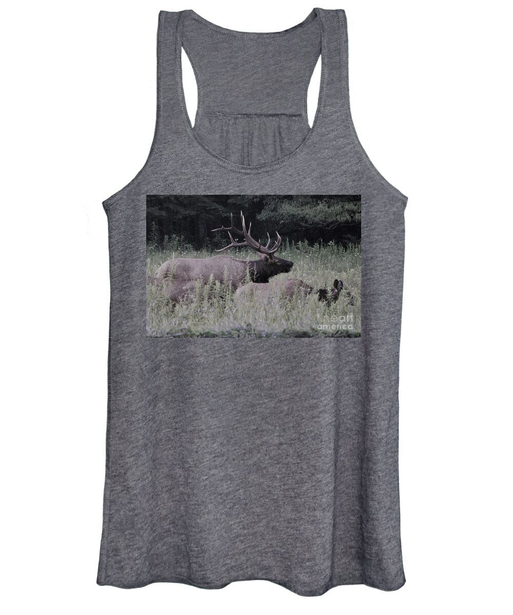 Landscape Women's Tank Top featuring the photograph Elk buck, Cherokee National Forest by Theresa D Williams