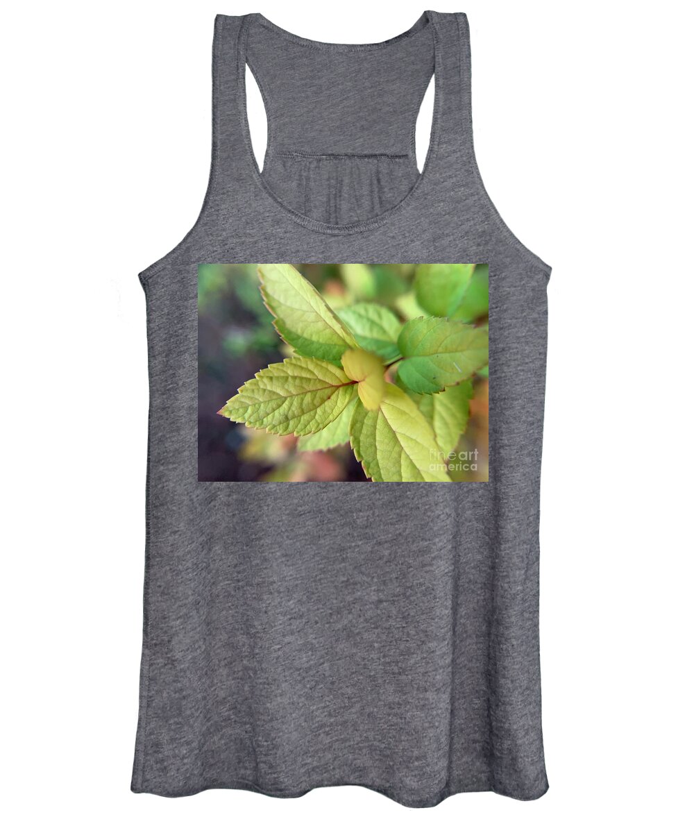 Shrub Women's Tank Top featuring the photograph Fall Beginnings by Catherine Wilson