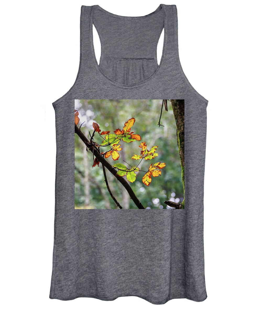 Leaf Women's Tank Top featuring the photograph Fall Leaves by David Beechum