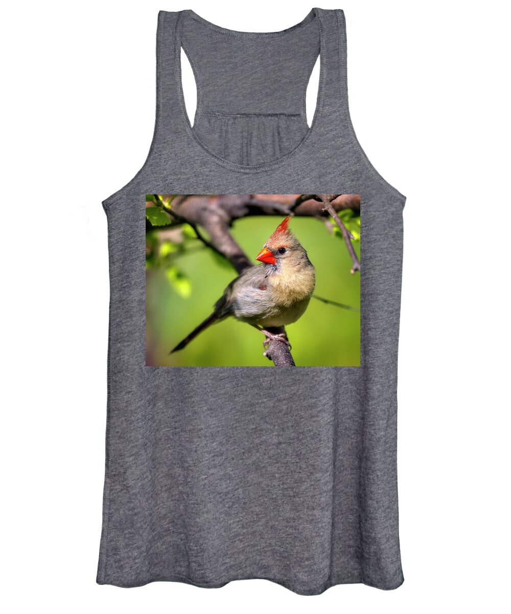 Female Women's Tank Top featuring the photograph Female Cardinal by Al Mueller