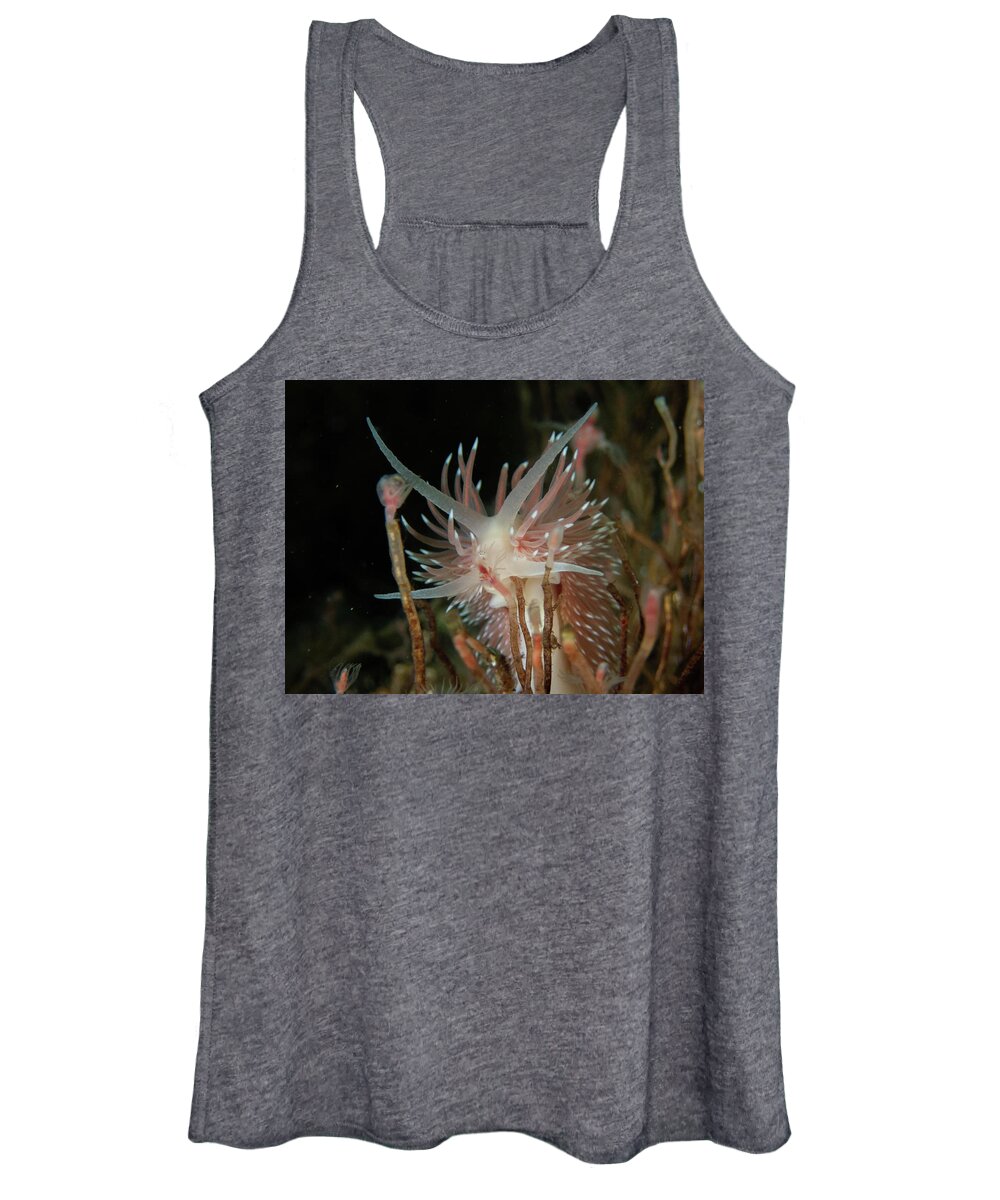 Nudibranch Women's Tank Top featuring the photograph Flabellina verilli amongst the hydroids by Brian Weber
