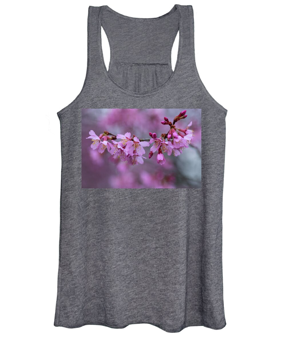 Cherry Blossoms Women's Tank Top featuring the photograph Fresh Blossoms by Lara Morrison