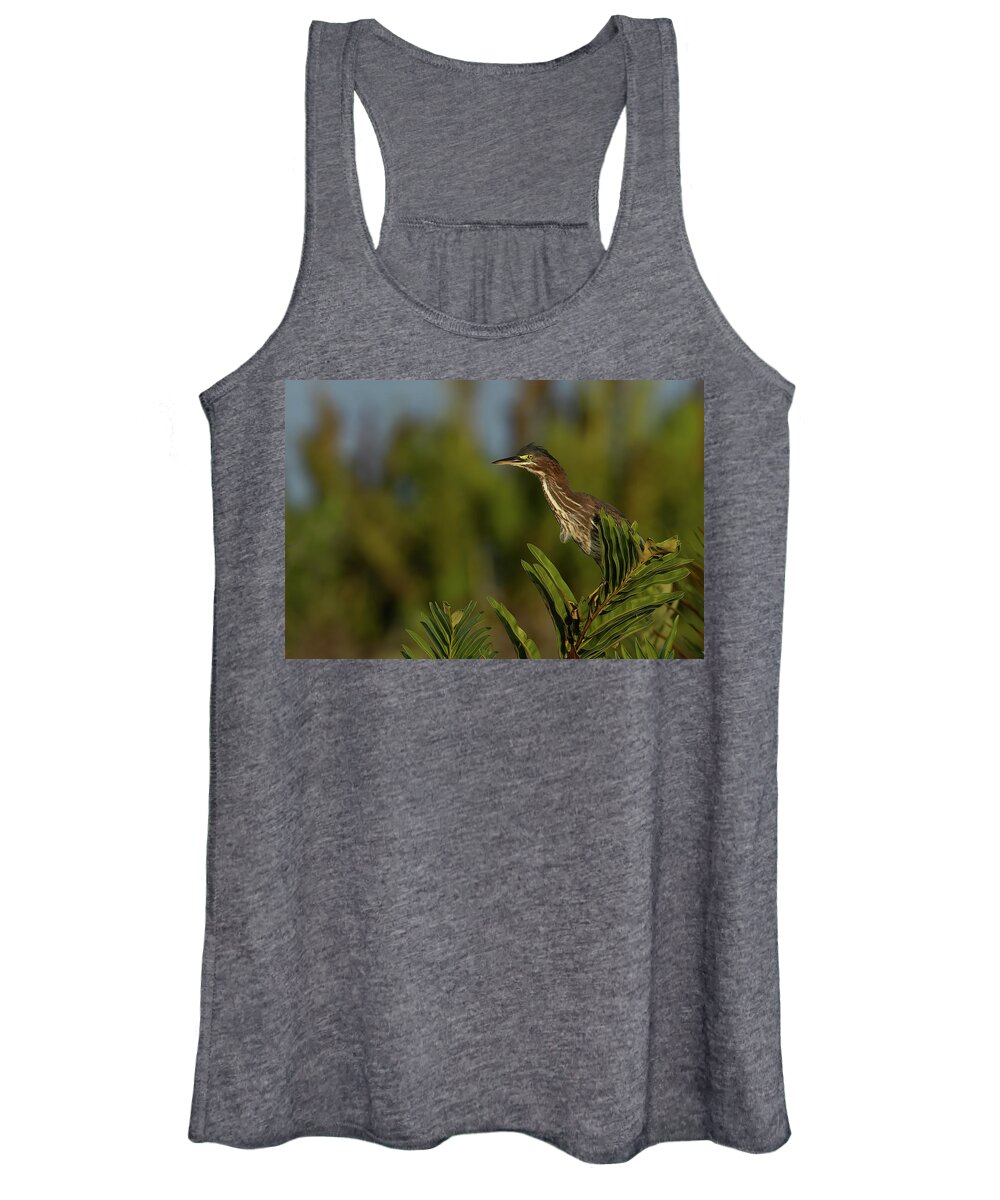 Green Heron Women's Tank Top featuring the photograph GH Perched 3 by RD Allen