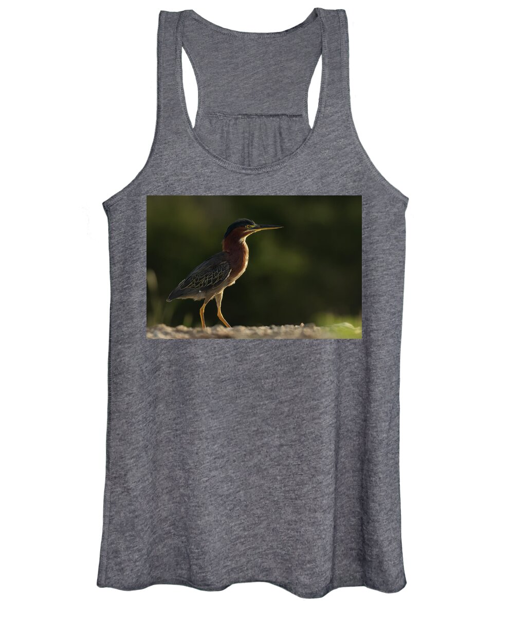 Green Heron Women's Tank Top featuring the photograph Green Heron Strut by RD Allen