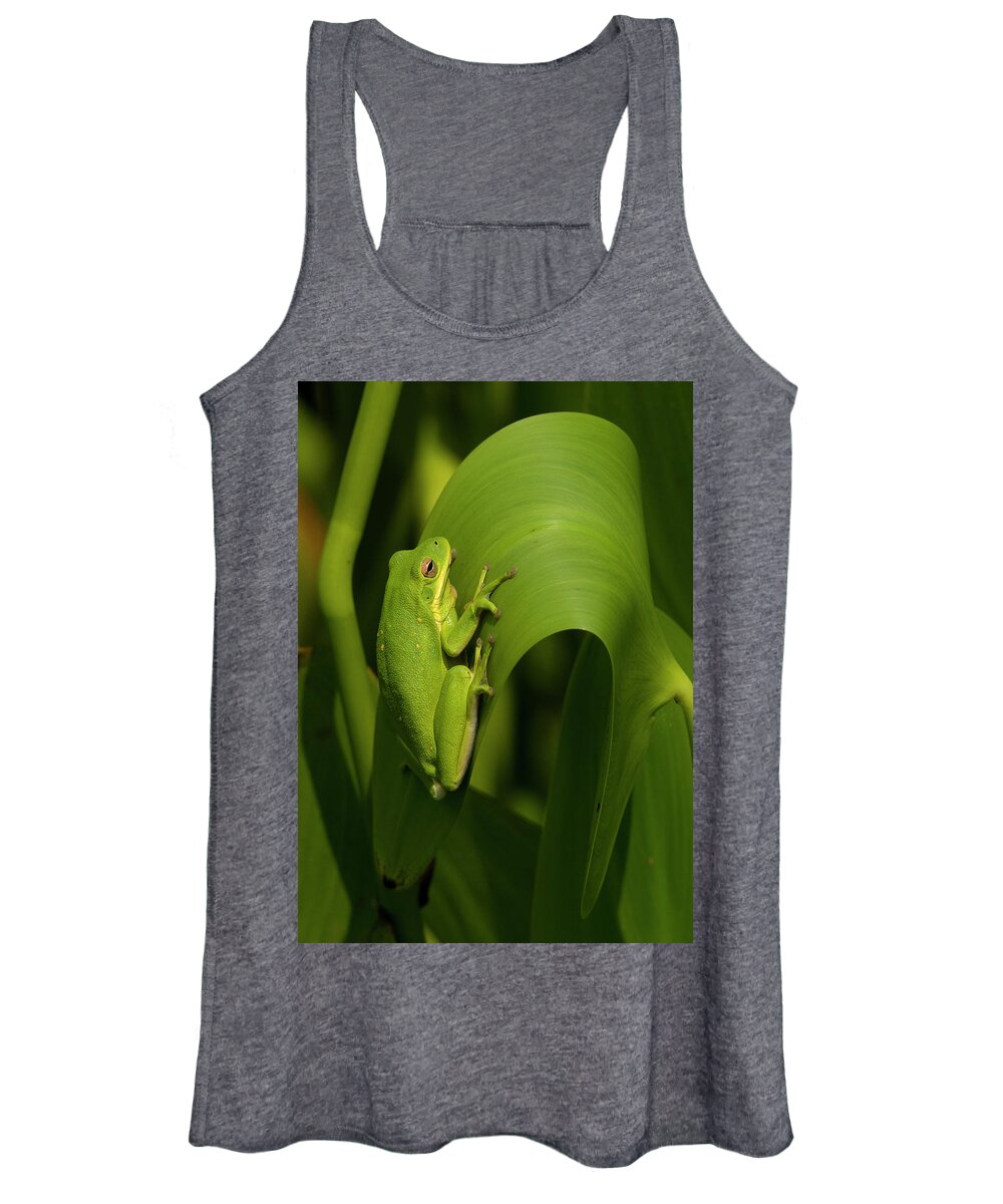 Amphibian Women's Tank Top featuring the photograph Green Tree Frog in the Marsh, North Carolina, Photograph, Print by Eric Abernethy