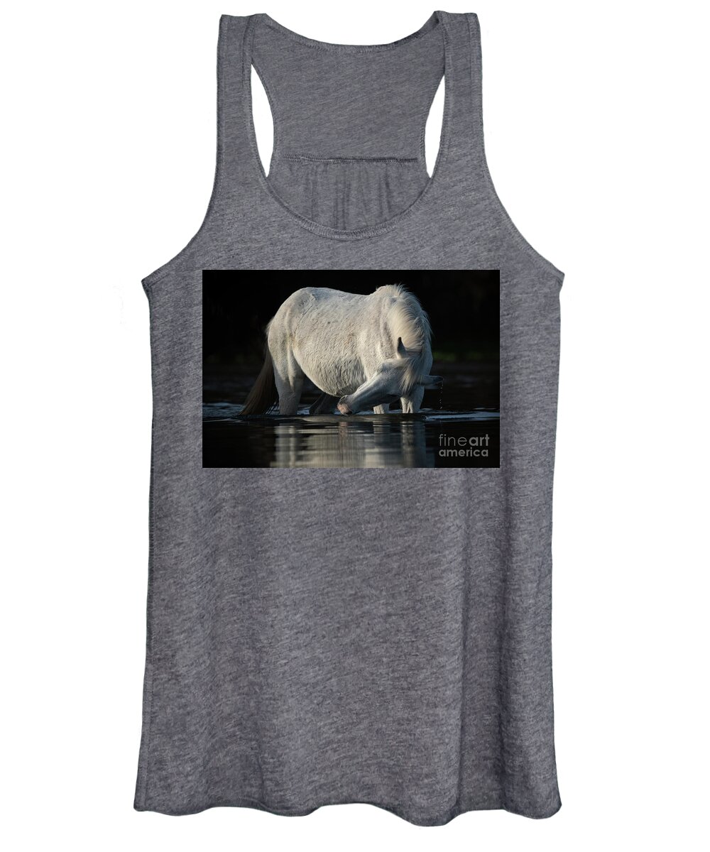 Salt River Wild Horse Women's Tank Top featuring the photograph Grey Beauty by Shannon Hastings
