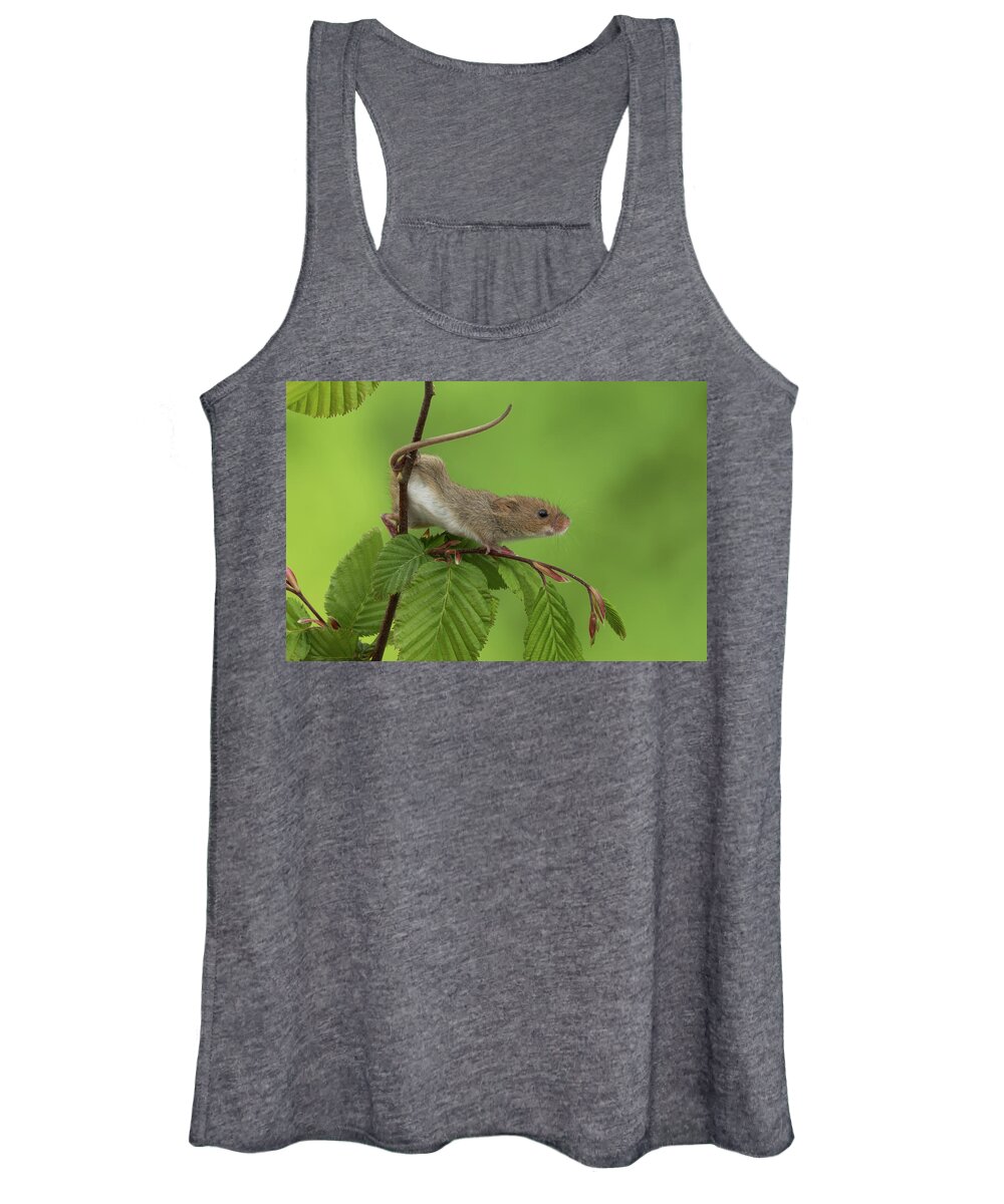 Harvest Women's Tank Top featuring the photograph Harvest Mouse-3056 by Miles Herbert
