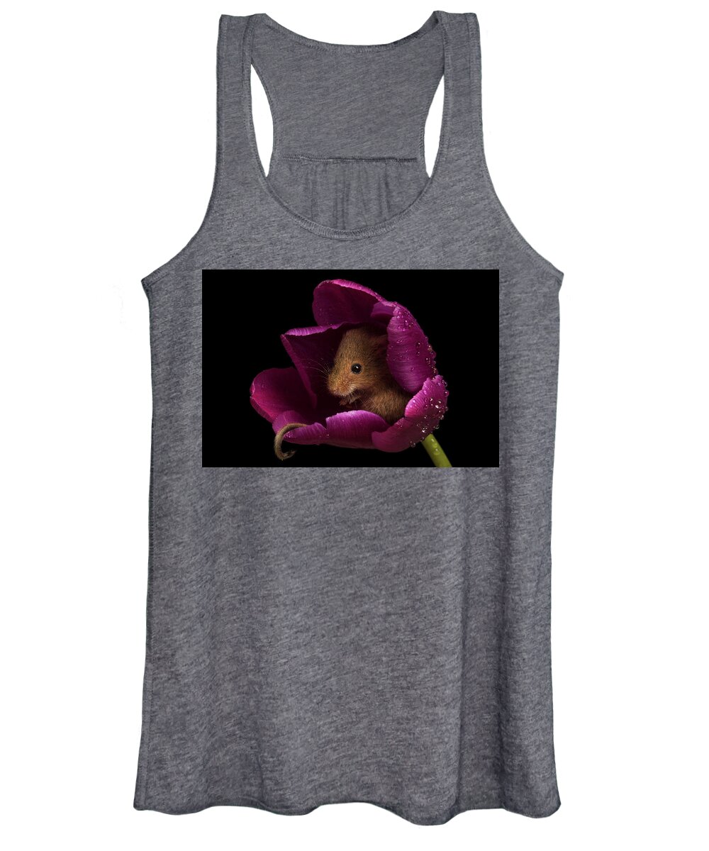 Harvest Women's Tank Top featuring the photograph Harvest Mouse-3428 by Miles Herbert