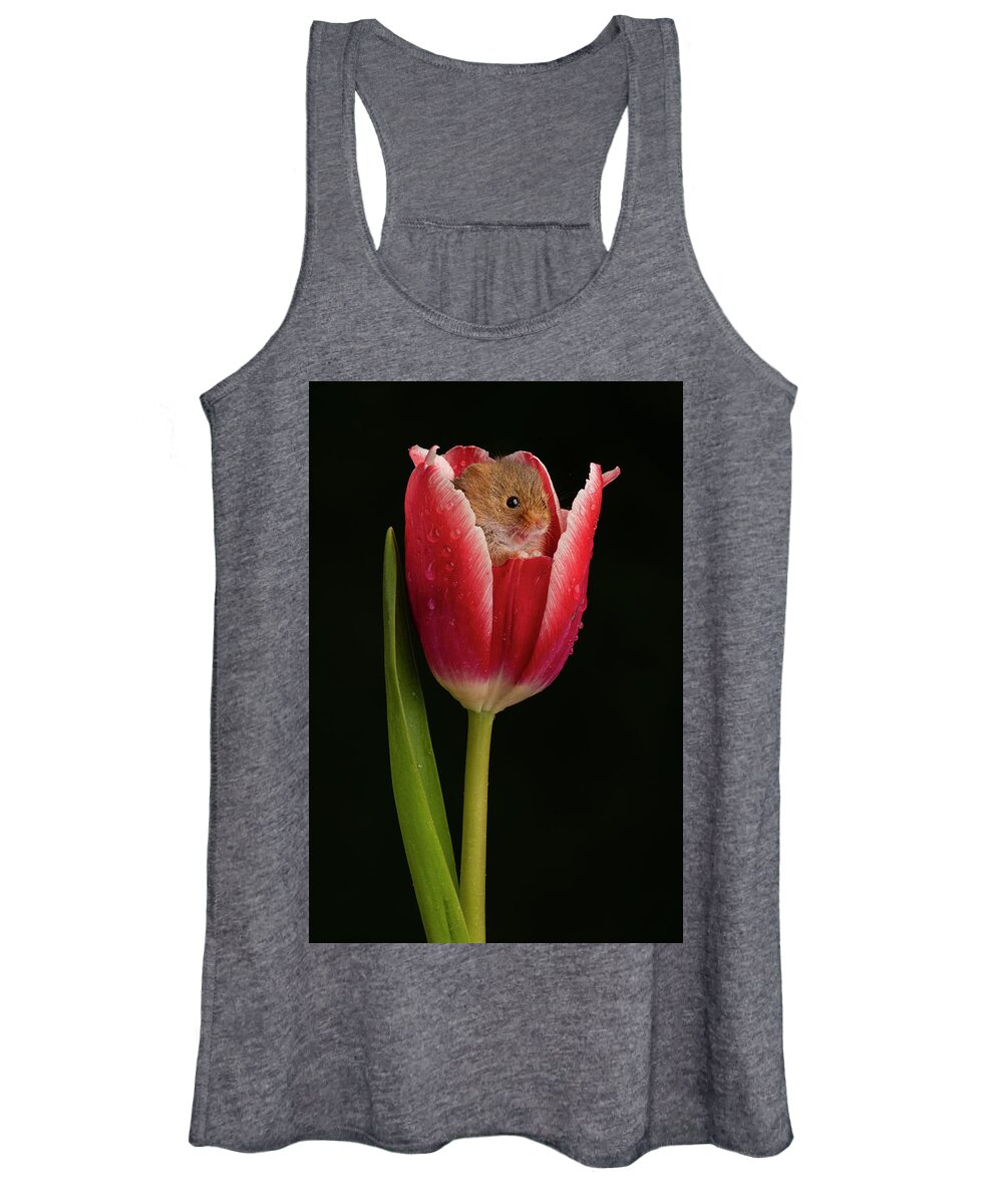 Harvest Women's Tank Top featuring the photograph HM Tulip-02013 by Miles Herbert