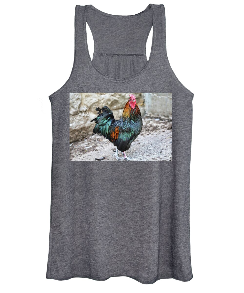 Rooster Women's Tank Top featuring the photograph I Am King Rooster by Scott Burd