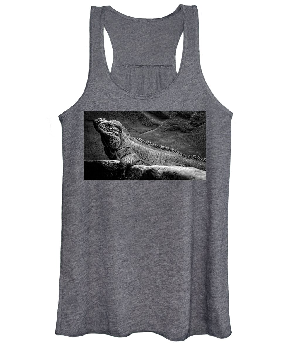Lizard Women's Tank Top featuring the photograph I'm Cool How About You by George Taylor
