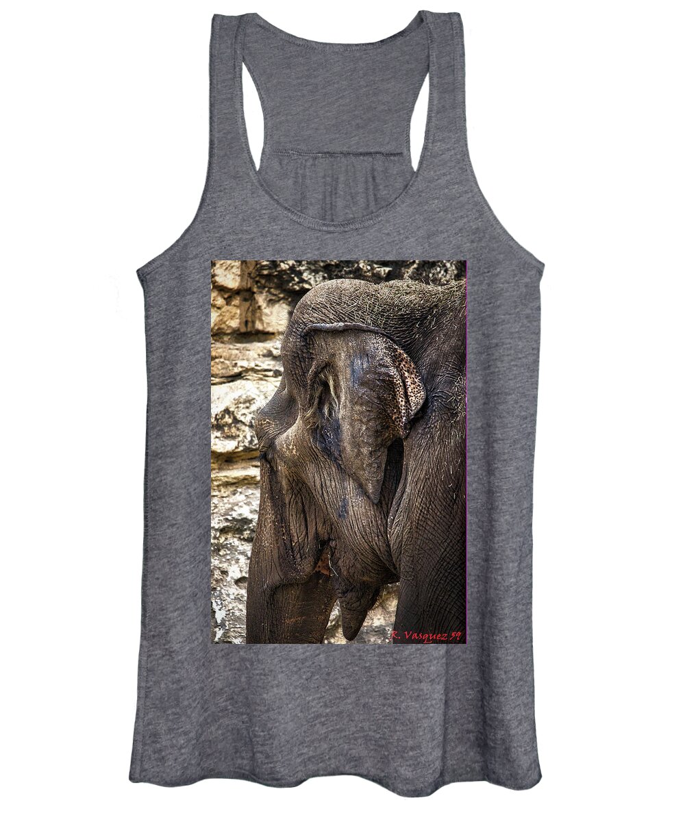 Elephant Women's Tank Top featuring the photograph Indian Elephant by Rene Vasquez
