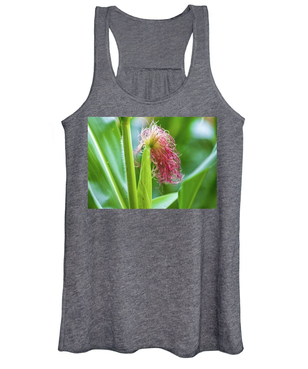 Summer Women's Tank Top featuring the photograph Jersey Corn - Food Photography by Amelia Pearn