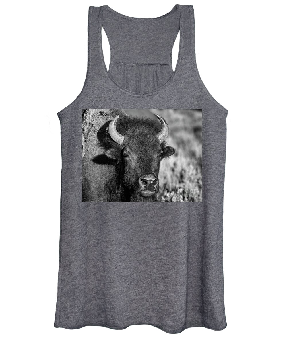 Wildlife Women's Tank Top featuring the photograph Just Posing by Sandra Bronstein