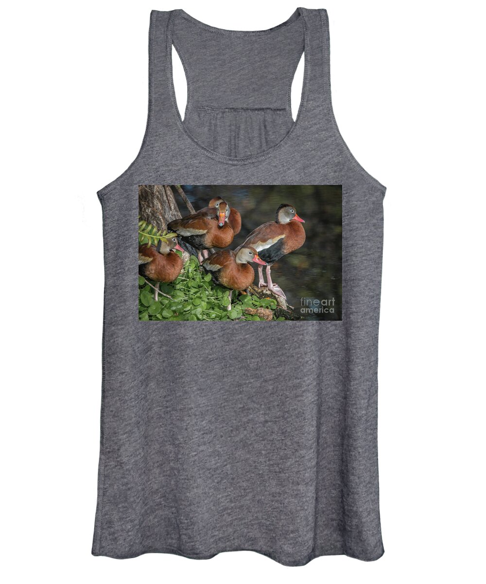 Duck Women's Tank Top featuring the photograph Juvenile Whistling Ducks by Tom Claud