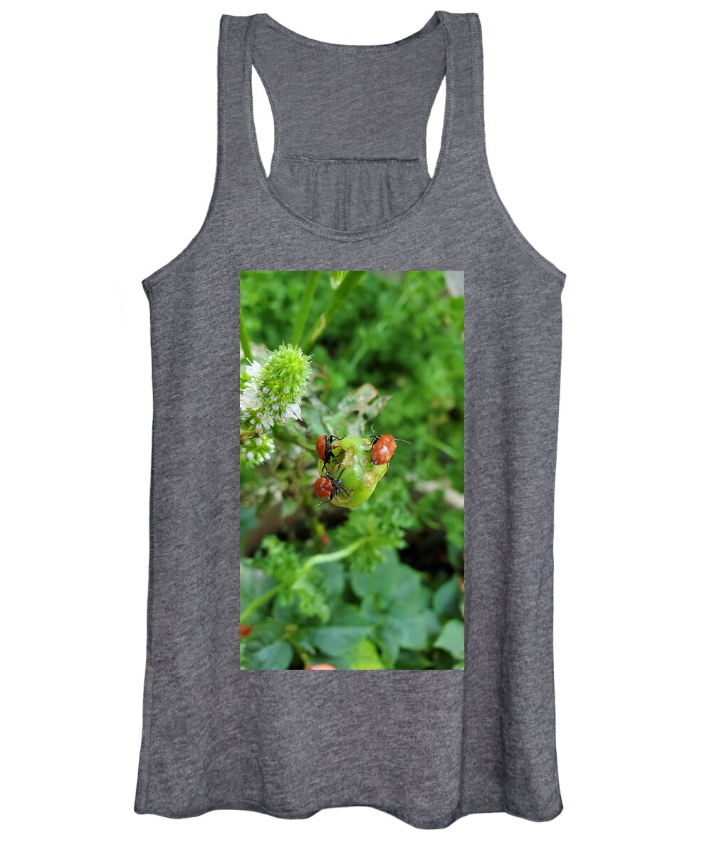 Ladybugs Women's Tank Top featuring the photograph LadyBugs Feeding by Stacie Siemsen