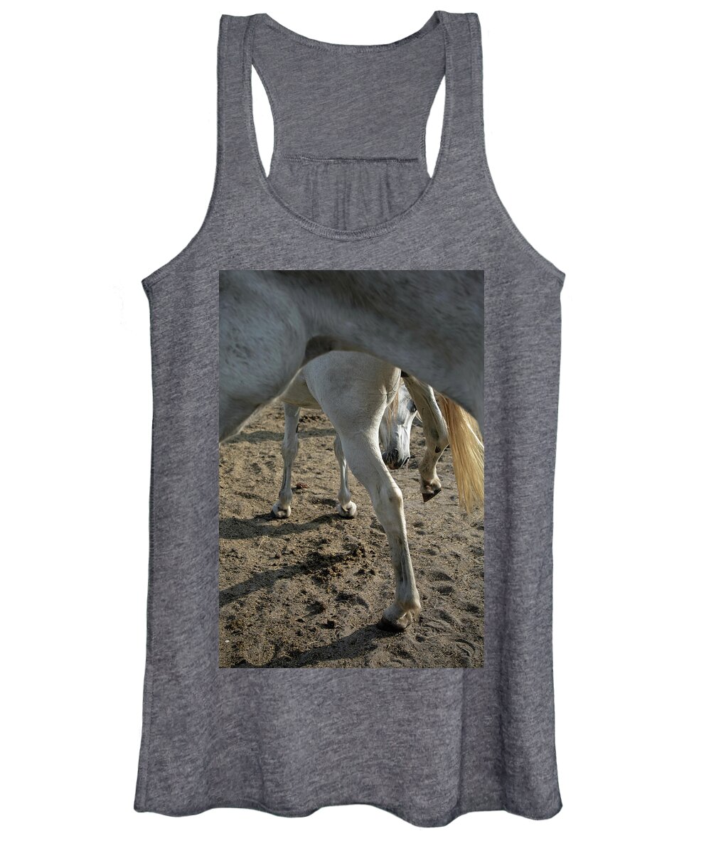 Horses Women's Tank Top featuring the photograph Layers of Mares by M Kathleen Warren
