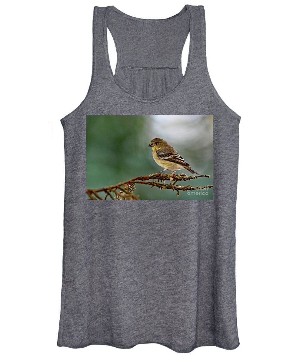 Spinus Psaltria Women's Tank Top featuring the photograph Lesser Goldfinch by Amazing Action Photo Video