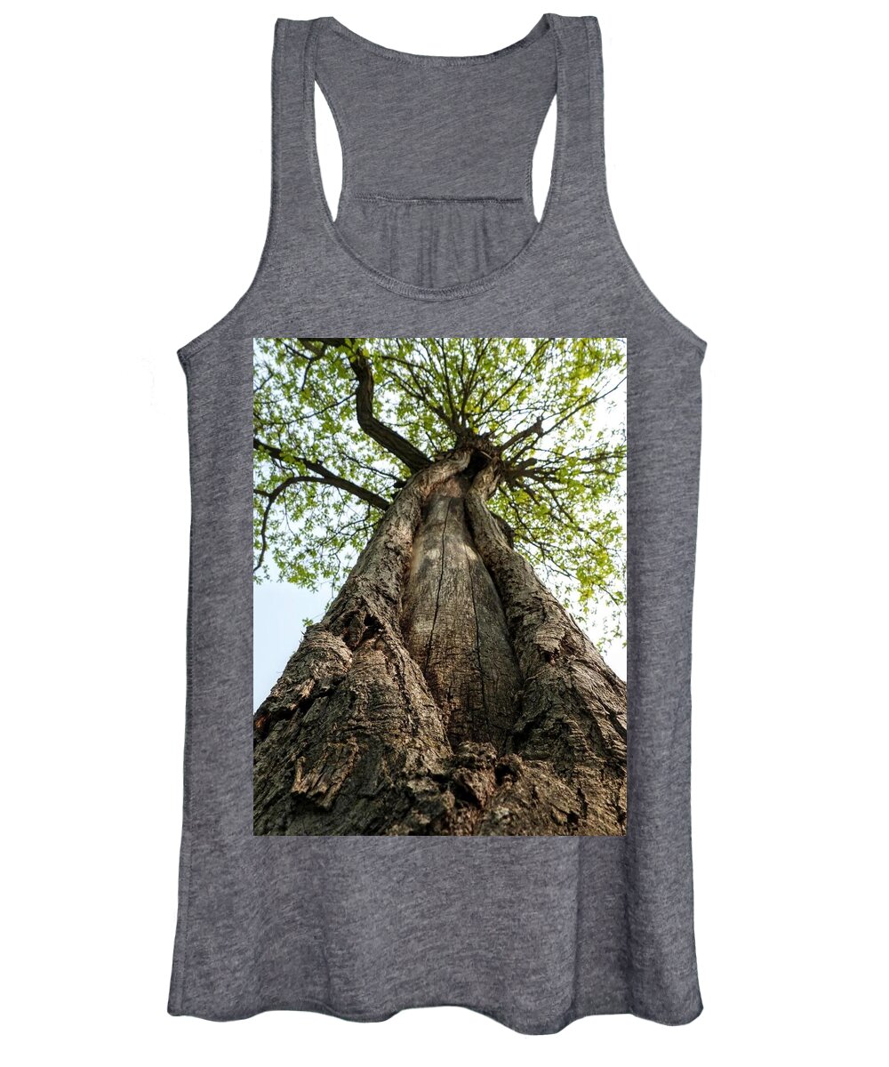 Tree Women's Tank Top featuring the photograph Portrait of a Tree by Amanda R Wright
