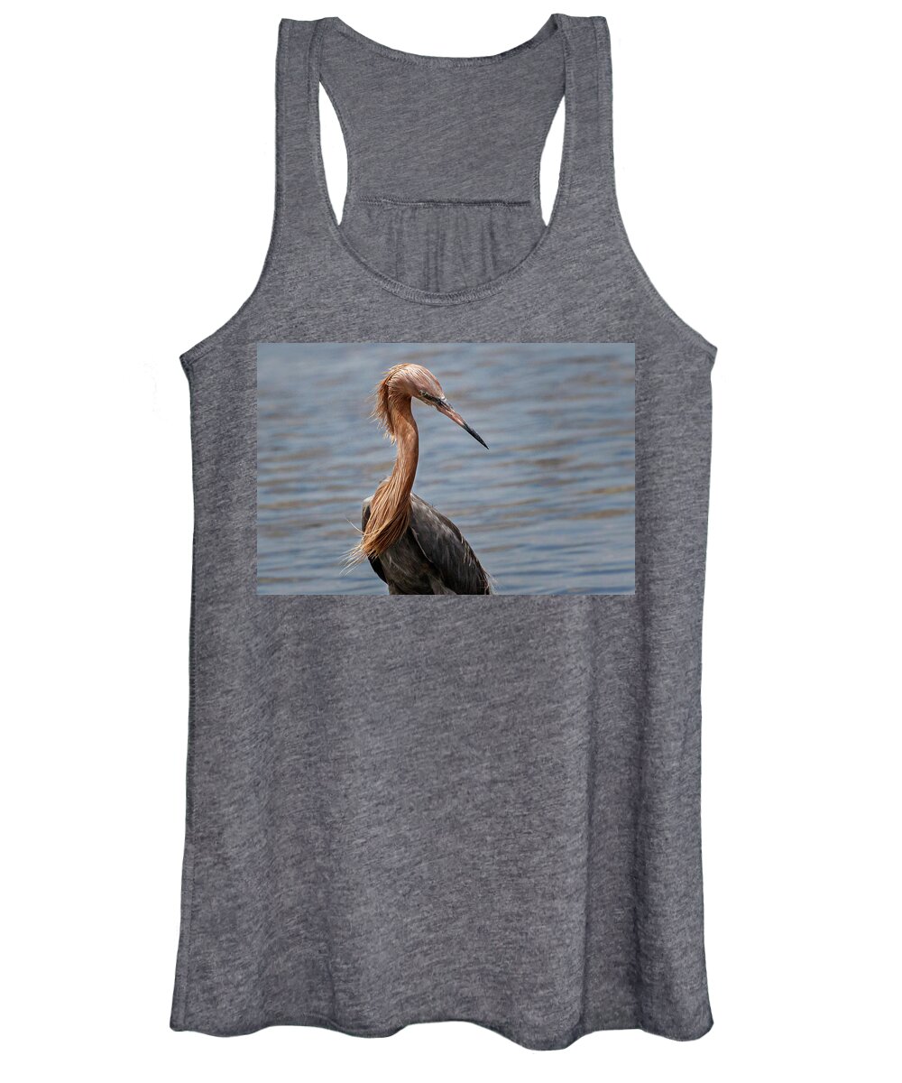 Reddish Egret Women's Tank Top featuring the photograph Look Back by Les Greenwood