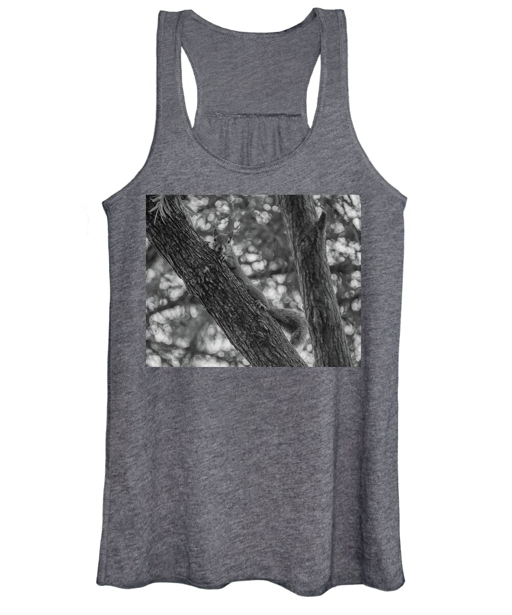Squirrel Women's Tank Top featuring the photograph Lounging around by Alan Goldberg