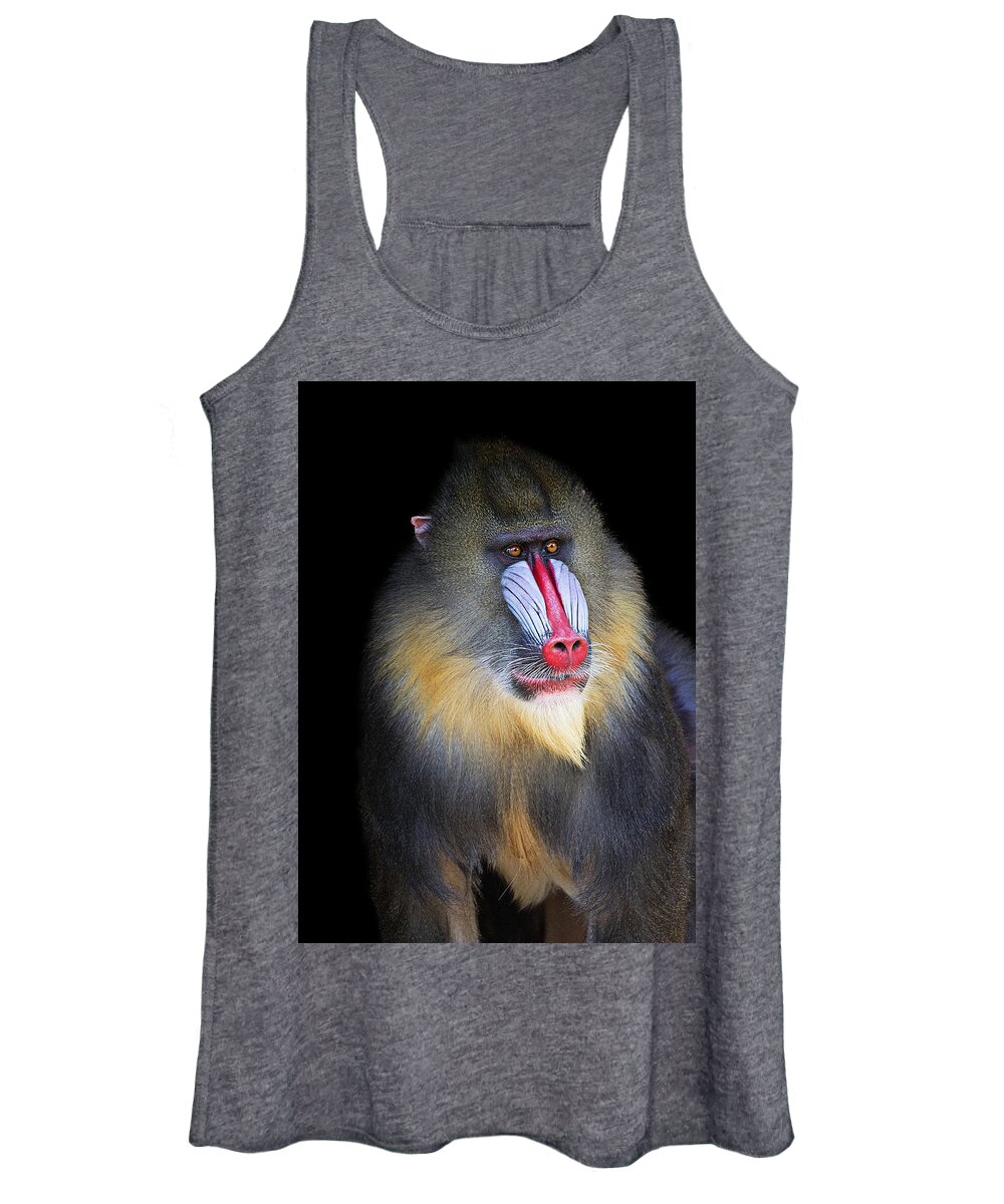Mandrill Women's Tank Top featuring the photograph Mandrill Portrait by Gareth Parkes