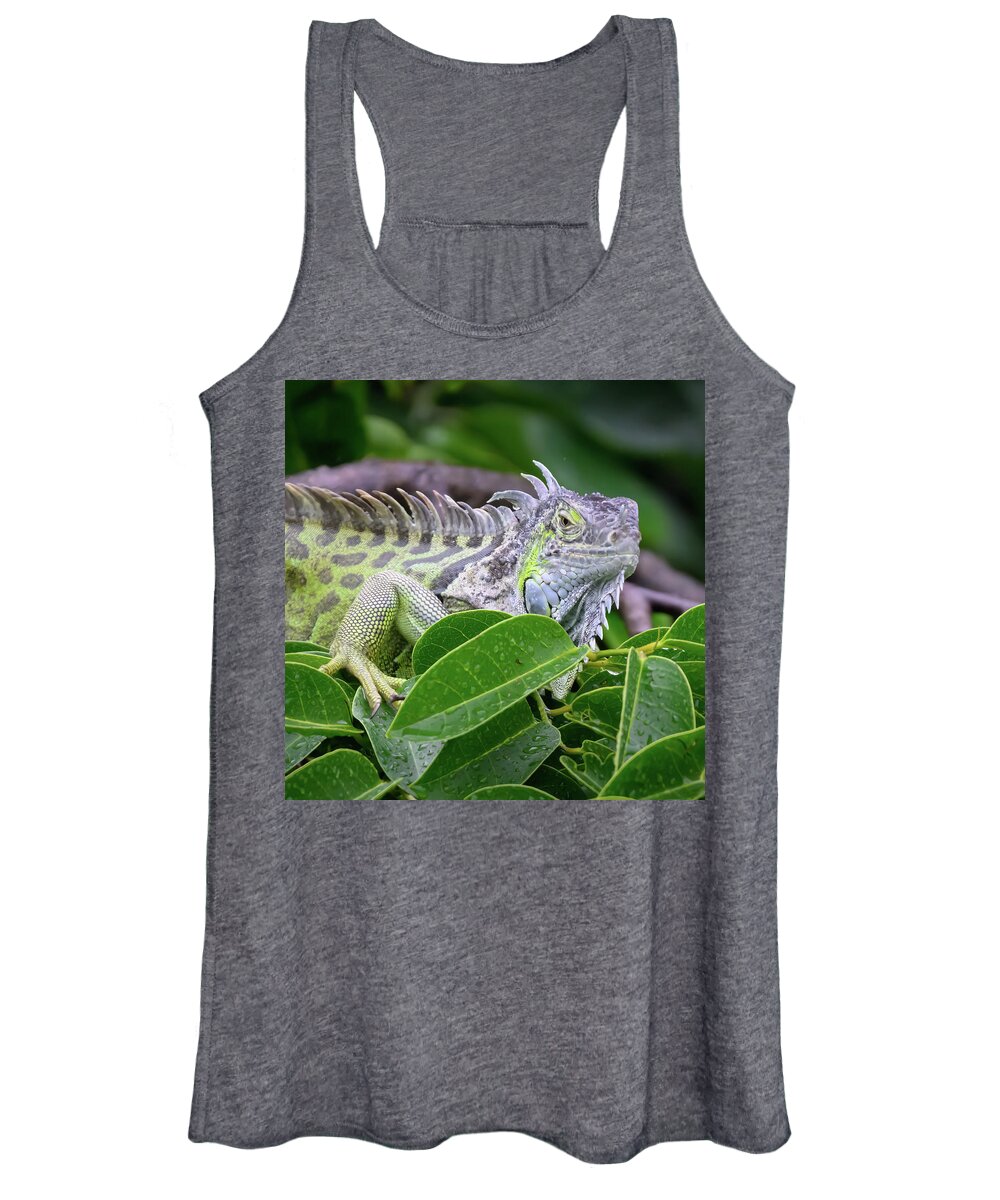 Iguana Women's Tank Top featuring the photograph May I Help You by Angie Mossburg
