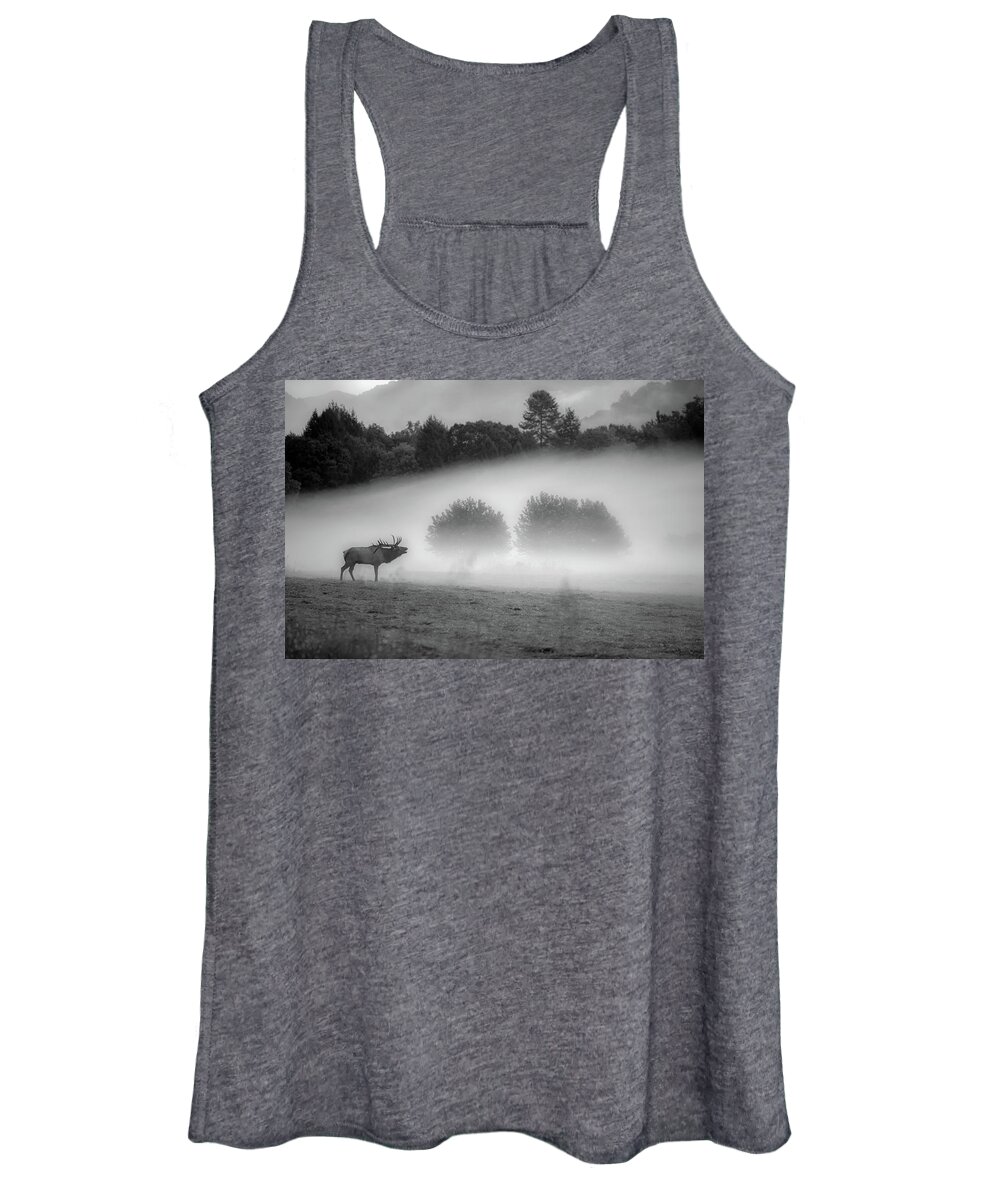 Great Smoky Mountains National Park Women's Tank Top featuring the photograph Misty Morning in the Park by Robert J Wagner