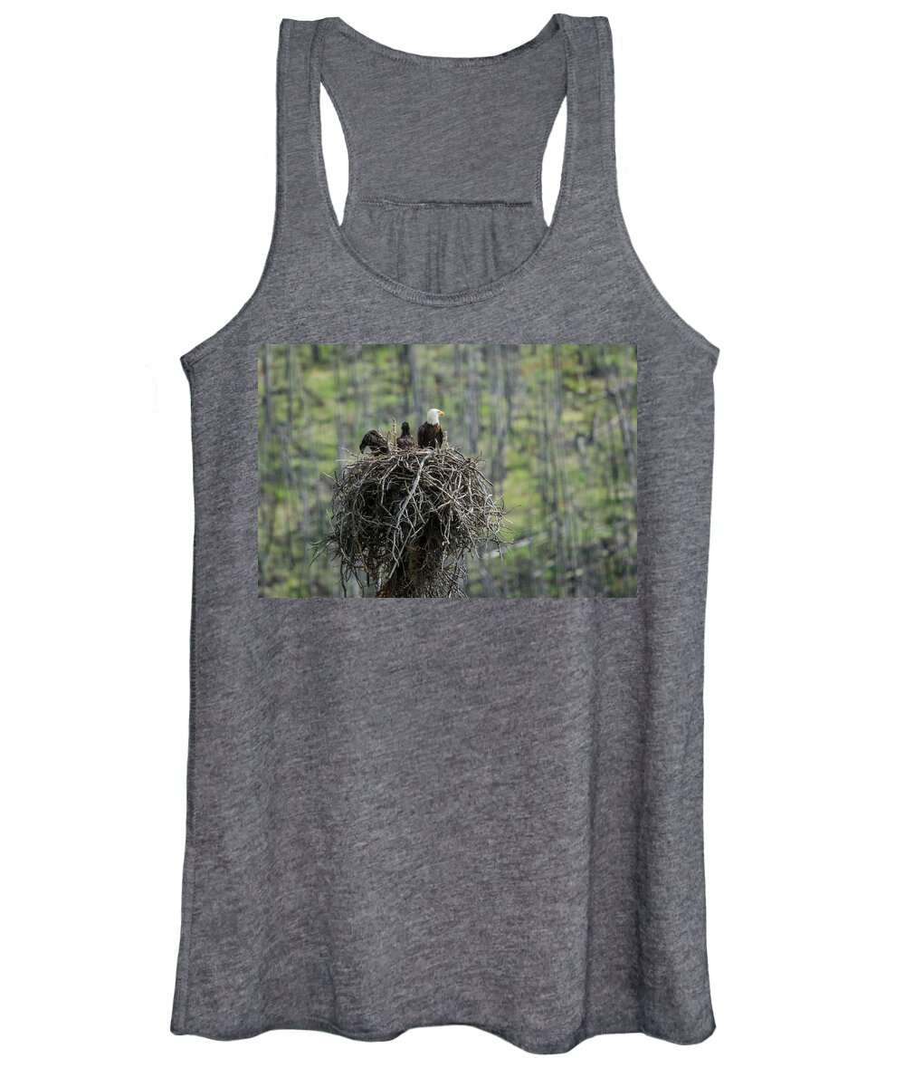 Eagle Women's Tank Top featuring the photograph Mother Bald Eagle by Bill Cubitt