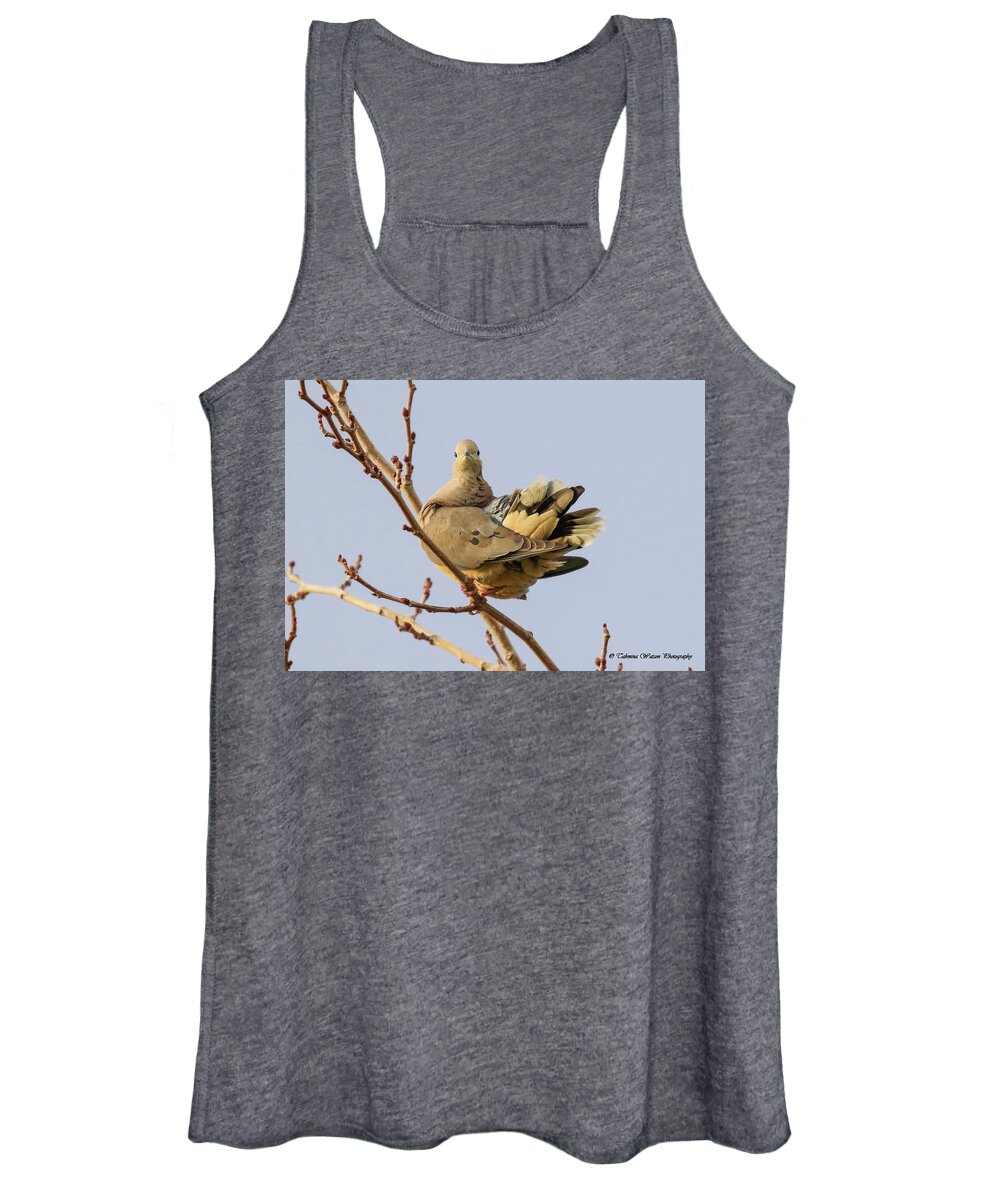 Birding Women's Tank Top featuring the photograph Mourning Dove Portrait by Tahmina Watson