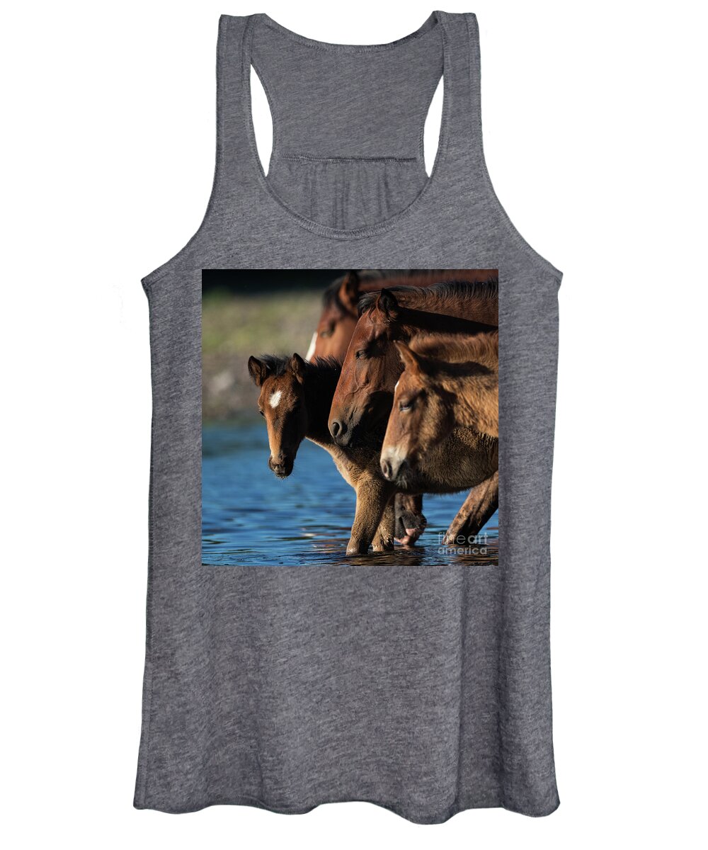 Salt River Wild Horses Women's Tank Top featuring the photograph Moving Forward by Shannon Hastings
