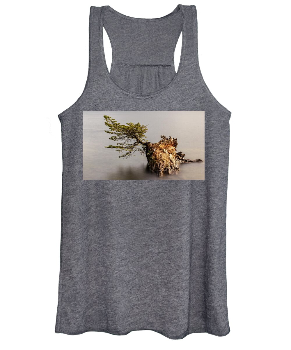 Landscape Women's Tank Top featuring the photograph New Growth From Fallen Tree by Tony Locke