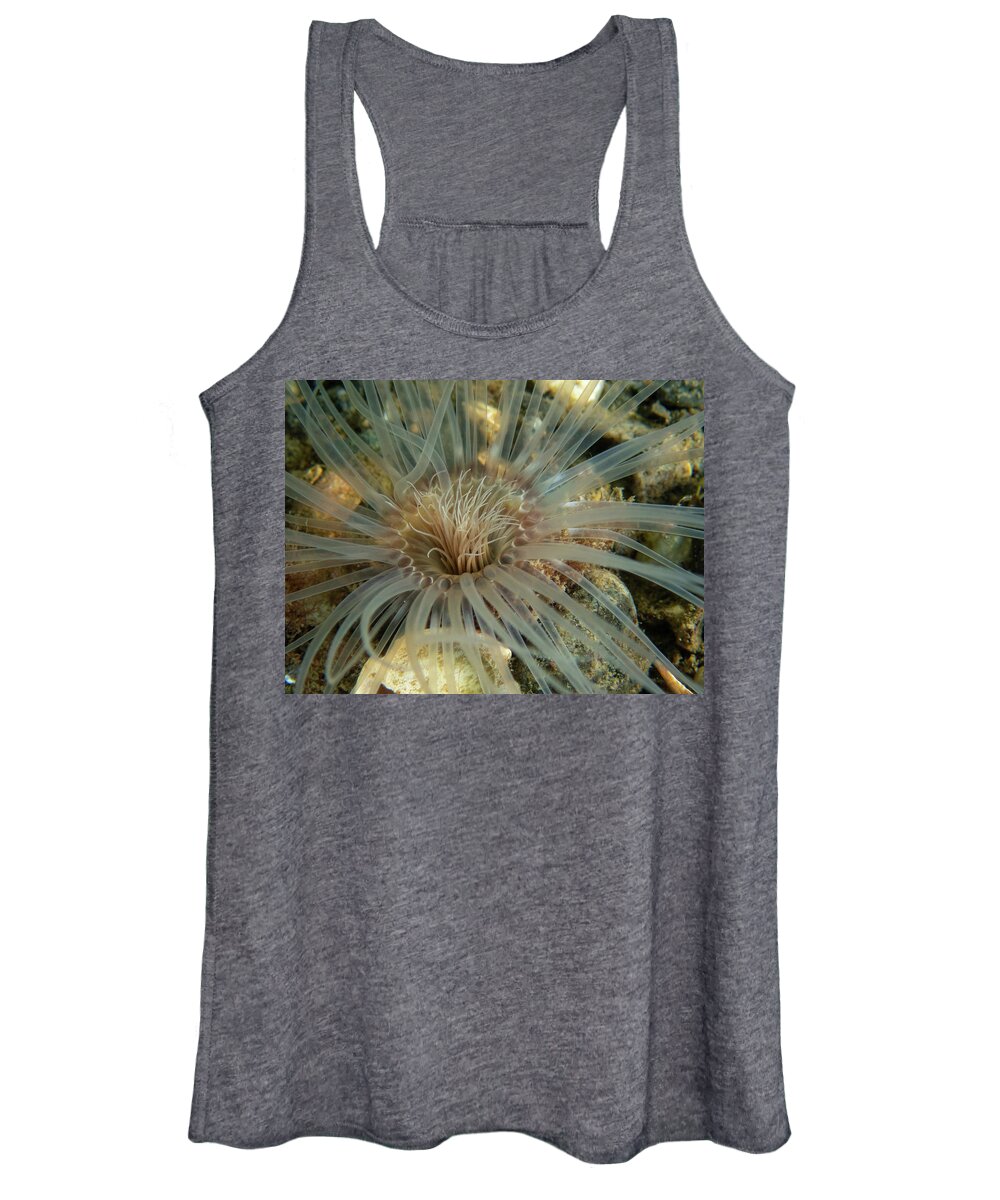 Worm Women's Tank Top featuring the photograph Northern Cerianthid by Brian Weber