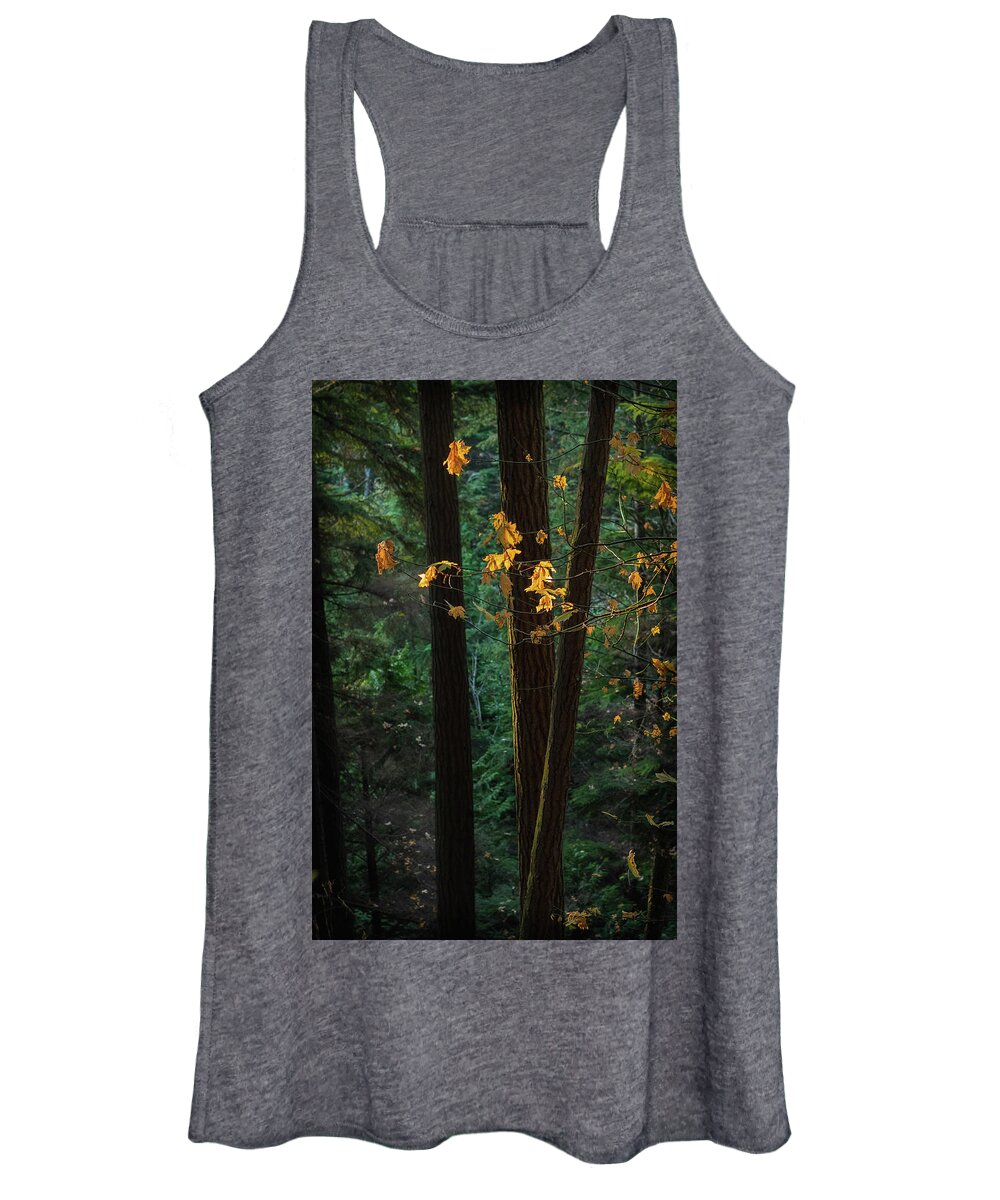 Fall Women's Tank Top featuring the photograph November Woods by Lynn Wohlers