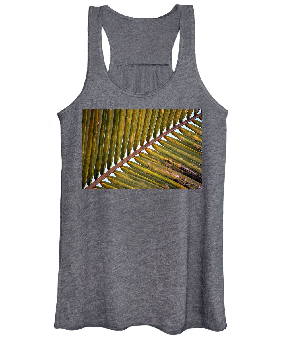 Palm Leaves Watercolor Women's Tank Top featuring the photograph Palm Leaf by Thomas Schroeder