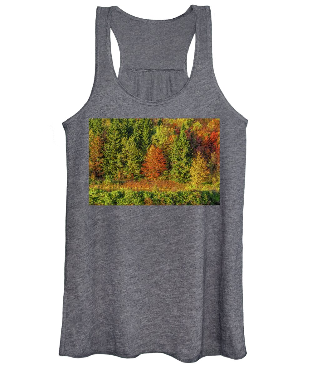 Autumn Women's Tank Top featuring the photograph Philip's Autumn Trees by Don Nieman
