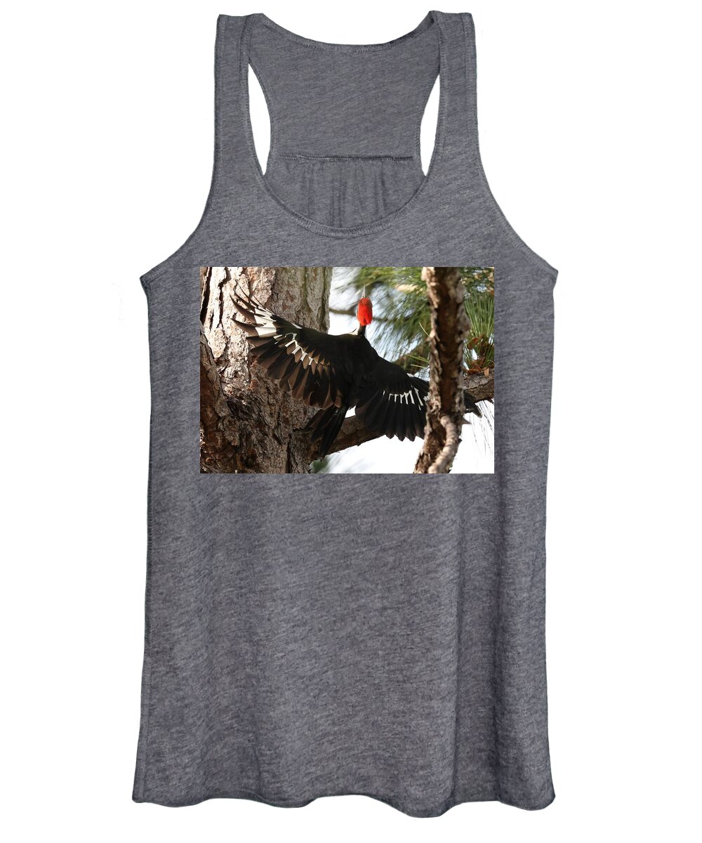 Pileated Woodpecker Women's Tank Top featuring the photograph Pileated Woodpecker 2 by Mingming Jiang