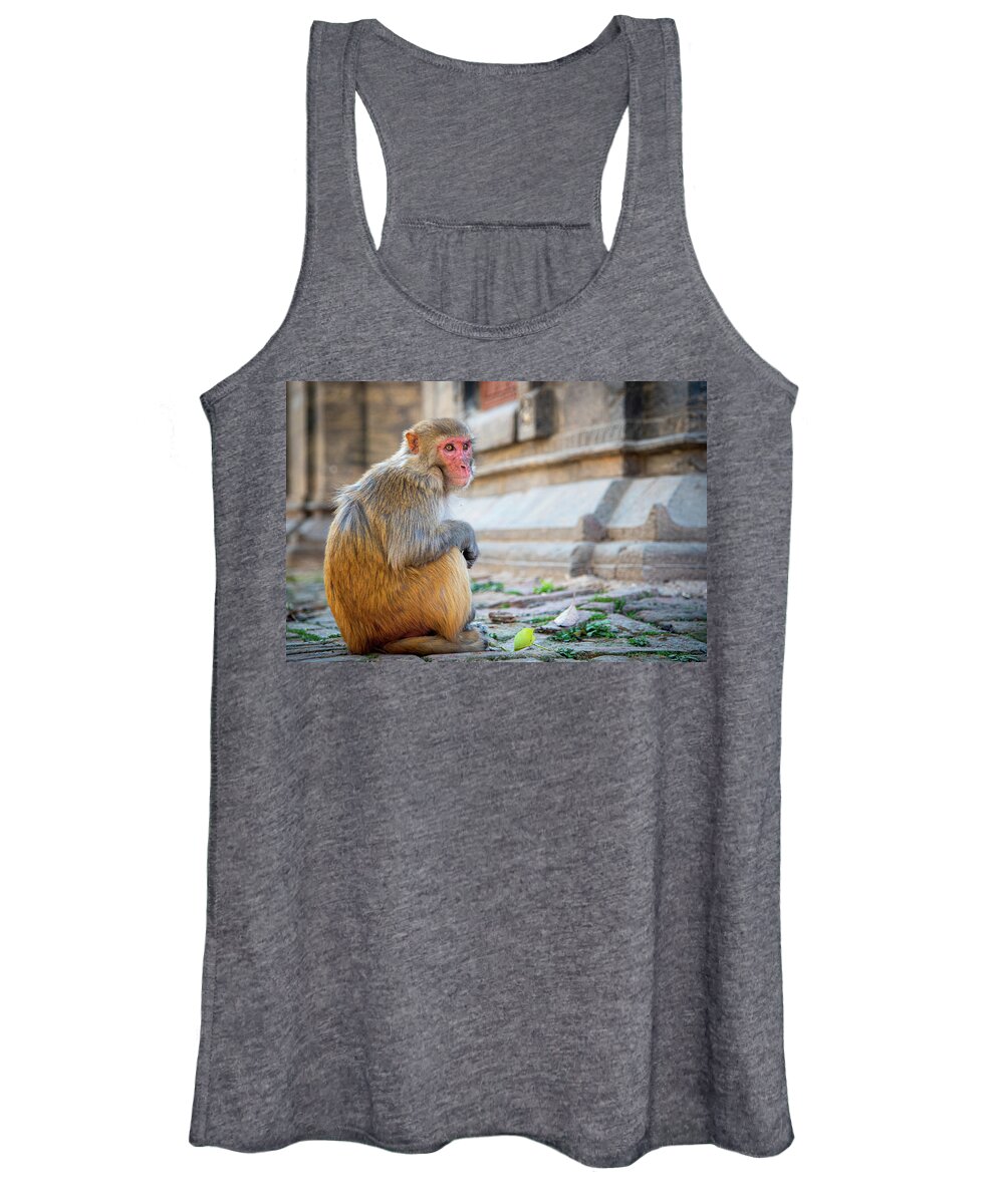 Macaca Women's Tank Top featuring the photograph Portrait of a male macaque monkey sitting on the roof of a temple by Michalakis Ppalis
