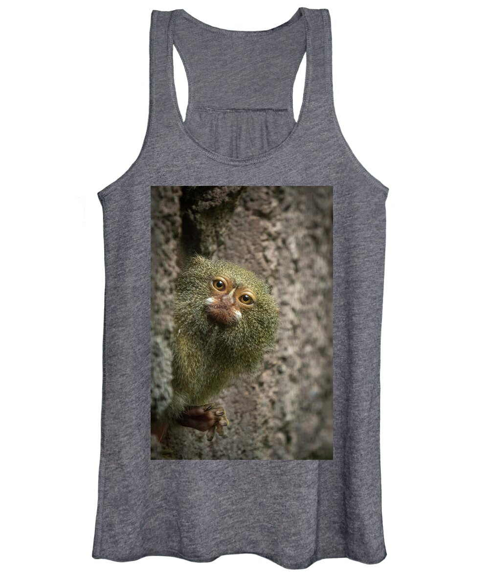 Pygmy Women's Tank Top featuring the photograph Pygmy Marmoset Monkey by Nigel R Bell