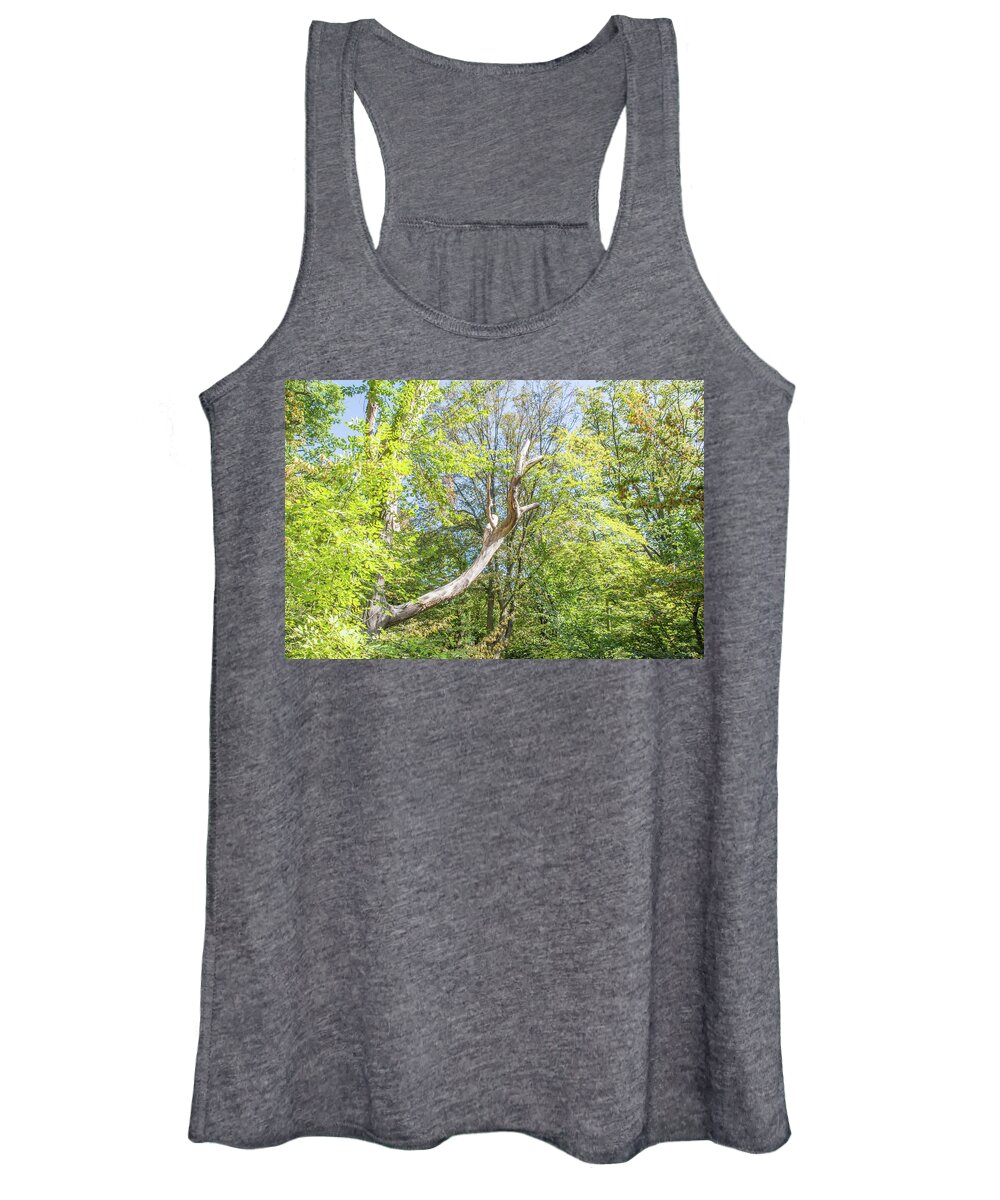  Women's Tank Top featuring the photograph Queen's Wood Trees Fall 1 by Edmund Peston