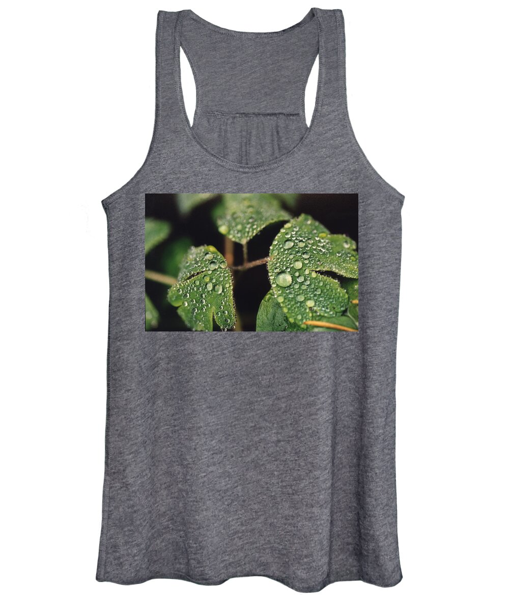 Raindrops Women's Tank Top featuring the photograph Raindrops on leaves by Lieve Snellings