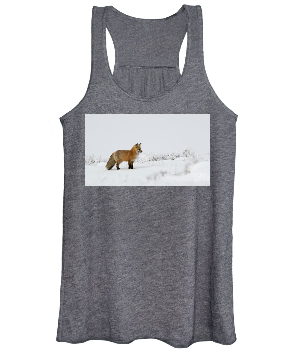 Fox Women's Tank Top featuring the photograph Red Fox in the Snow by Patrick Nowotny