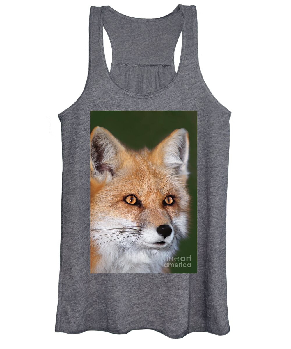 Red Fox Women's Tank Top featuring the photograph Red Fox Portrait Wildlife Rescue by Dave Welling