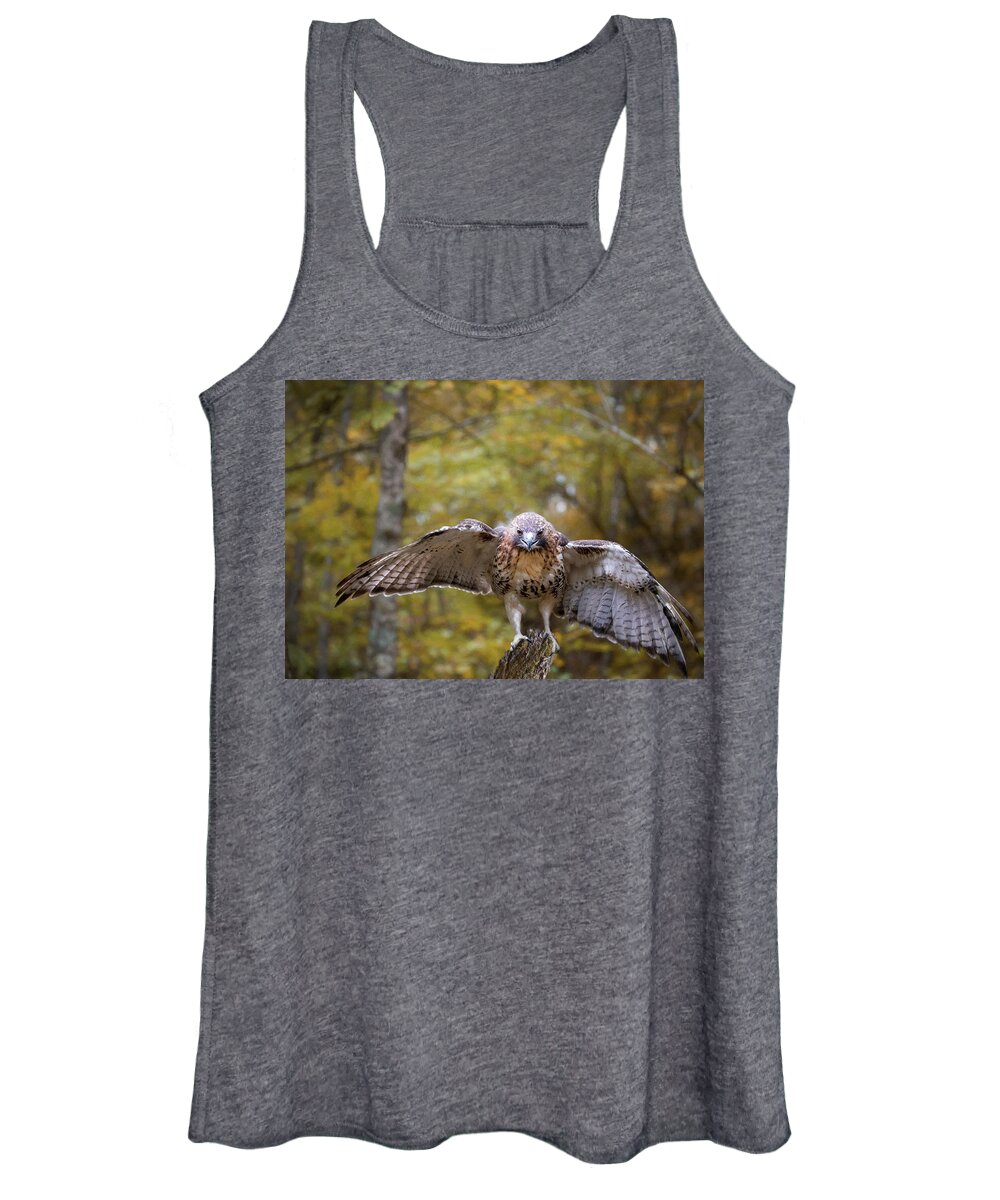 Red-tailed Hawk Women's Tank Top featuring the photograph Red-Tailed Hawk Landing by Jaki Miller