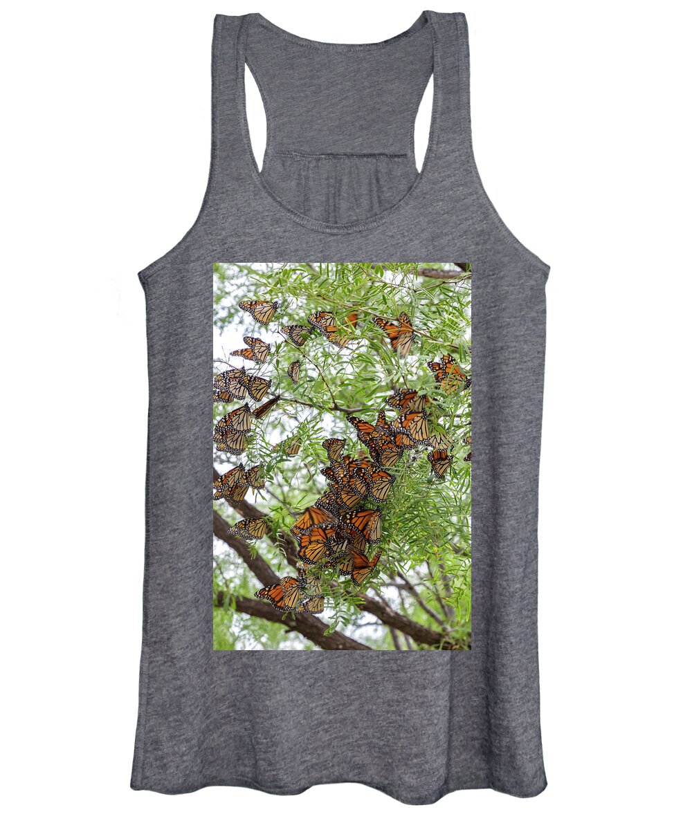 Monarch Butterfly Women's Tank Top featuring the photograph Roosting Time by Steve Templeton
