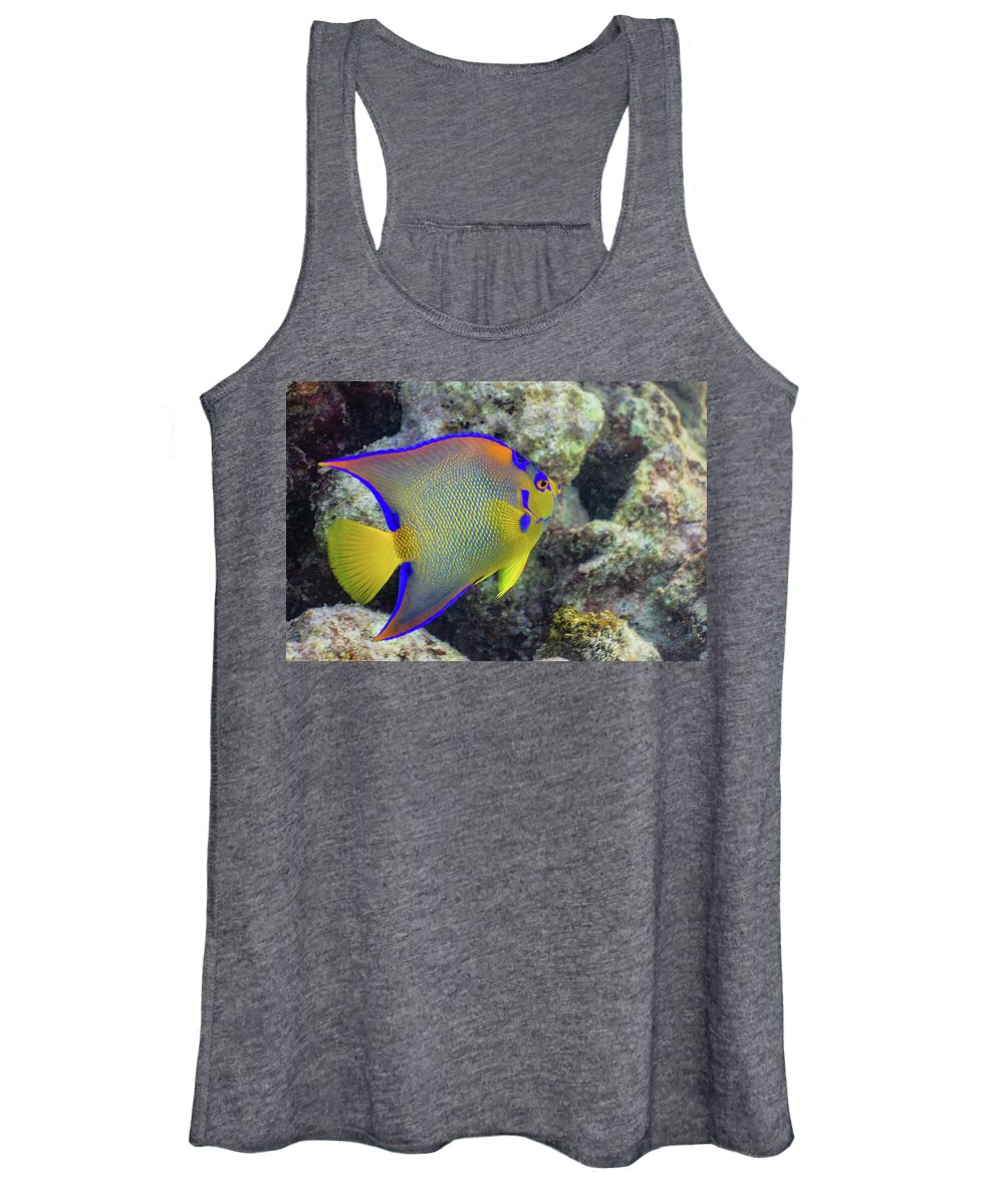 Fish Women's Tank Top featuring the photograph Royalty by Lynne Browne