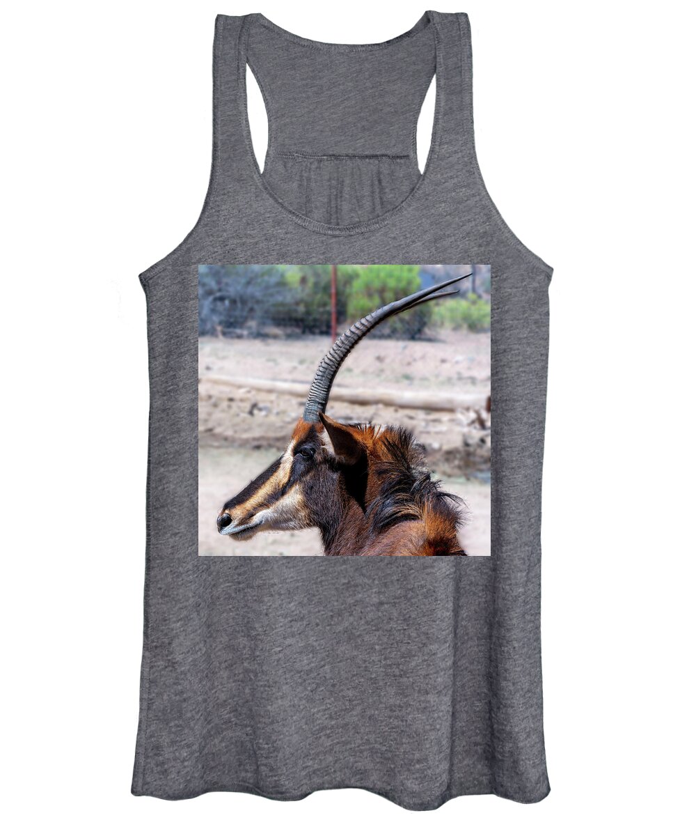 Sedona Women's Tank Top featuring the photograph Sable Antelope by Al Judge