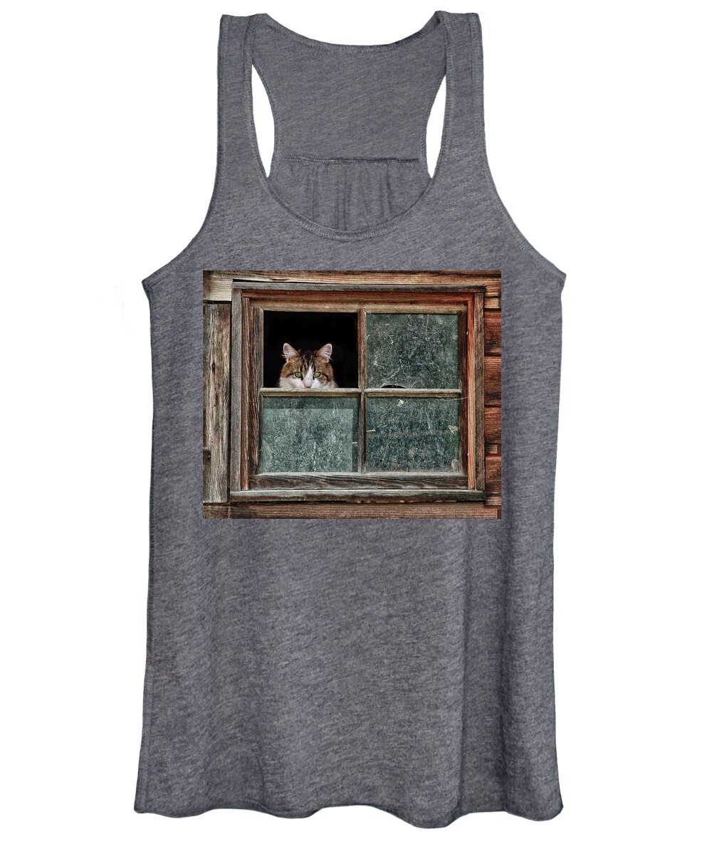 Photo Women's Tank Top featuring the photograph Scaredy Cat by Anthony M Davis